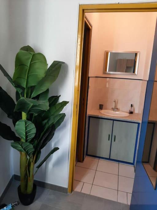 Апартаменты Confortable En Hyper Centre Parking Gratuit Dans La Rue Acces Avec Boite A Clee Кастр Экстерьер фото